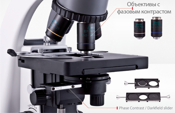 Поле микроскопа. Motic ba210. Фазовоконтрастная микроскоп. Фазовоконтрастная микроскопия. Фазово-контрастный микроскоп.